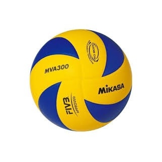Mikasa Beach champ VLS300