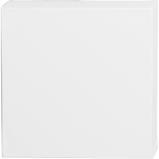 ArtistLine Canvas 0