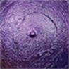 A-Color akrylmaling 1