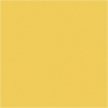 Plus Color hobbymaling 1