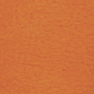 Fleece 0