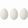 Æg 3