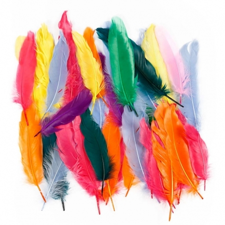 Indianerfjer 0