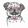 Diamond Dotz 1