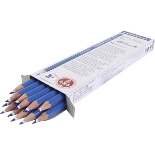 Staedtler farveblyanter, 12 stk./ 1 pk. 0