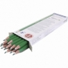 Staedtler farveblyanter, 12 stk./ 1 pk. 0