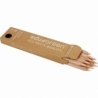 Edugreen Kraftige farveblyanter, mine 5 mm, laksefarvet, 10 stk./ 1 pk. 1