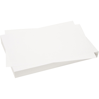 Karton, 50x70 cm, 220 g, hvid, 10 ark/ 1 pk. 0